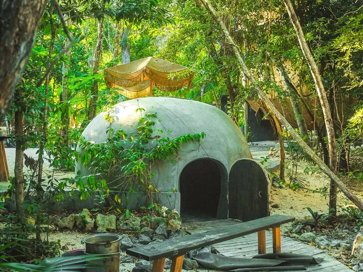 Lyxtält Casa Del Arbol At Villa Duendes Akumal