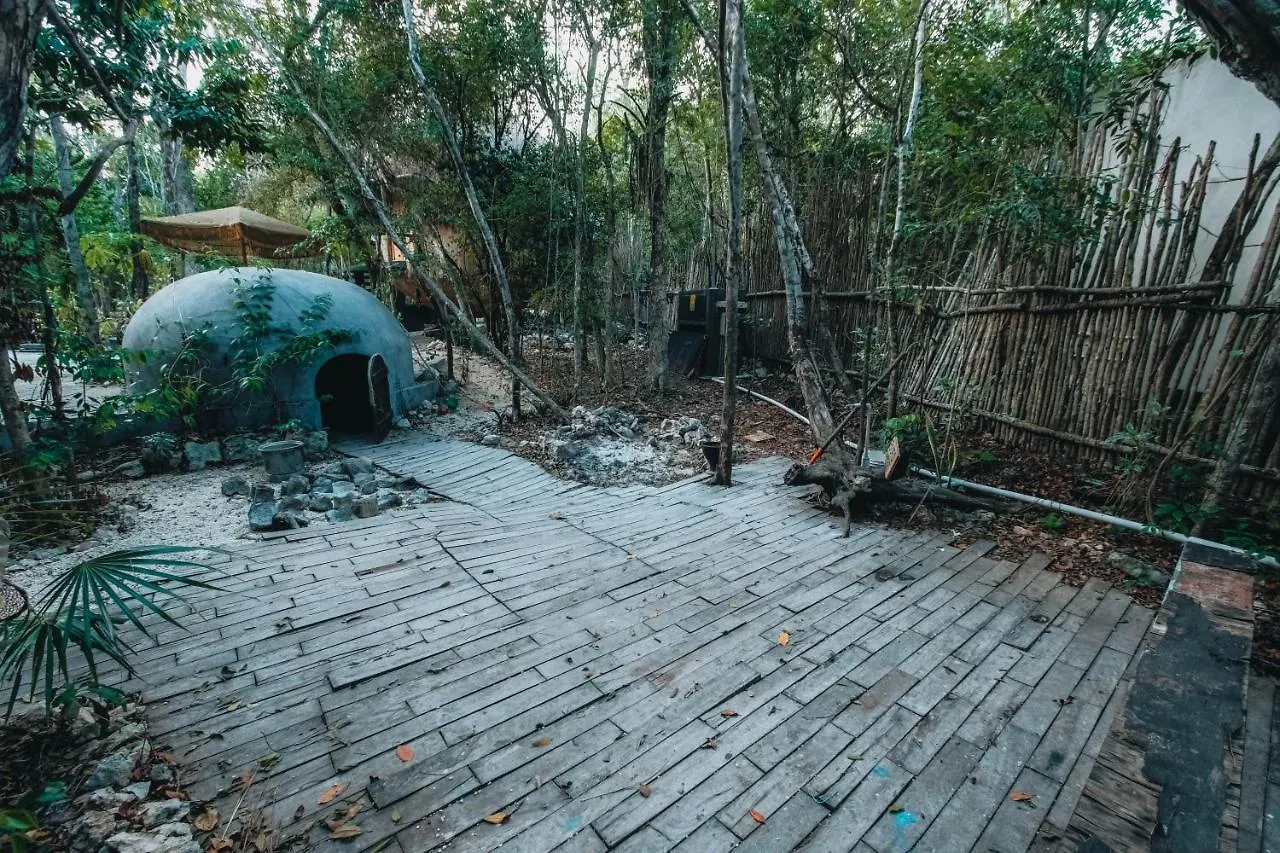 Lyxtält Casa Del Arbol At Villa Duendes Akumal Mexiko