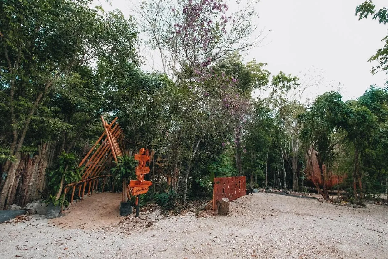 Casa Del Arbol At Villa Duendes Akumal