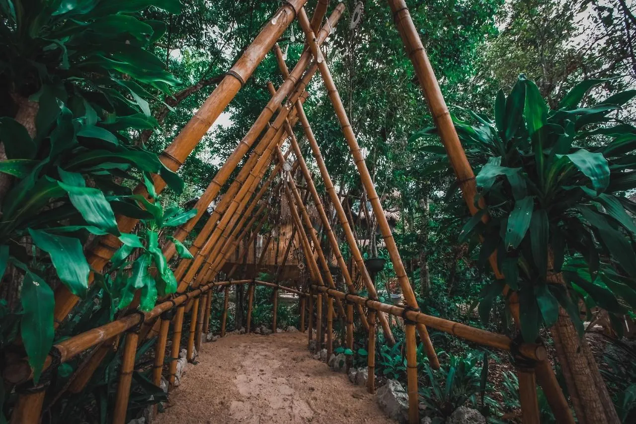 Casa Del Arbol At Villa Duendes Akumal Lyxtält