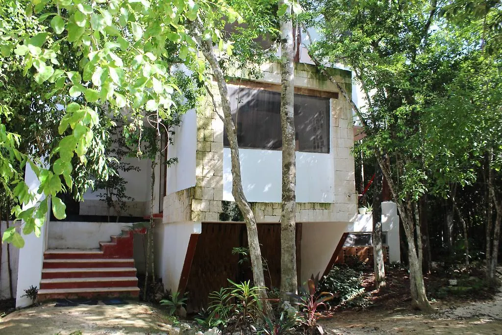 Casa Del Arbol At Villa Duendes Akumal