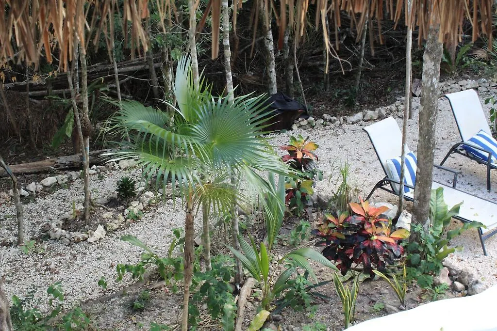 Lyxtält Casa Del Arbol At Villa Duendes Akumal